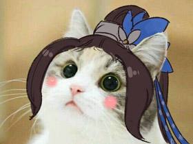 魔力宝贝私服跨服PVP战斗策略解析